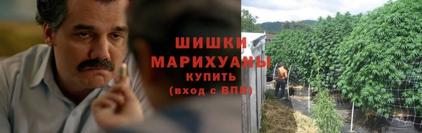 mdpv Краснослободск