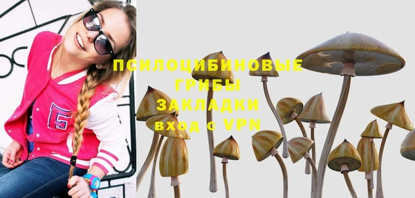 mdpv Краснослободск