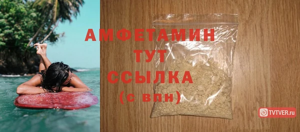 mdpv Краснослободск